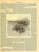  no thumbnail available