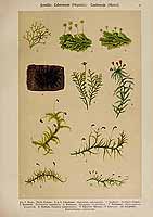  no thumbnail available