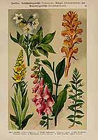  no thumbnail available