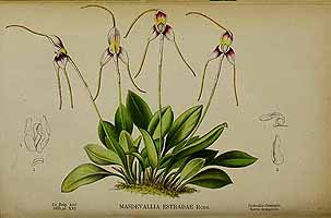  no thumbnail available