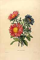  no thumbnail available