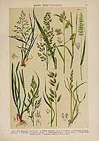  no thumbnail available