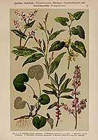  no thumbnail available