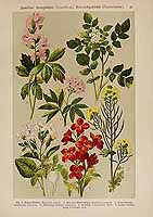  no thumbnail available