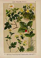  no thumbnail available