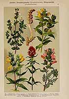  no thumbnail available