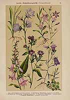  no thumbnail available