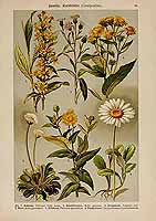  no thumbnail available