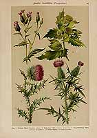  no thumbnail available