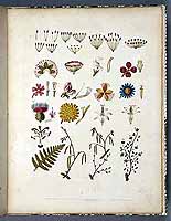  no thumbnail available