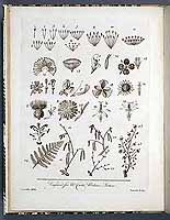  no thumbnail available