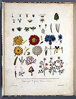  no thumbnail available