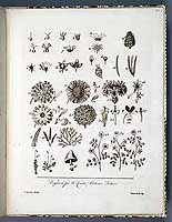  no thumbnail available