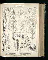  no thumbnail available