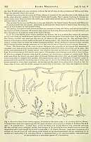  no thumbnail available