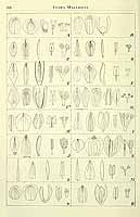  no thumbnail available