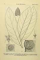  no thumbnail available