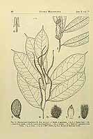  no thumbnail available