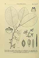  no thumbnail available