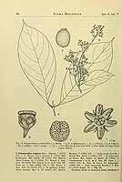  no thumbnail available