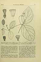  no thumbnail available