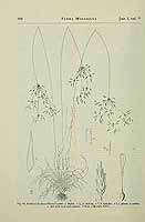  no thumbnail available