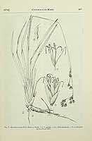  no thumbnail available