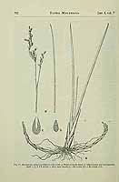  no thumbnail available