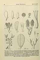  no thumbnail available