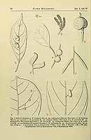  no thumbnail available