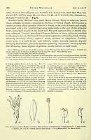  no thumbnail available