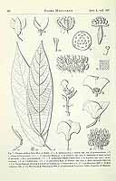  no thumbnail available