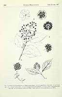  no thumbnail available