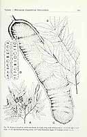  no thumbnail available