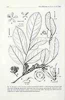  no thumbnail available