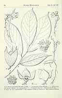  no thumbnail available