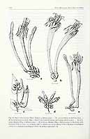  no thumbnail available