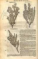  no thumbnail available