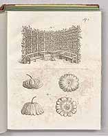  no thumbnail available