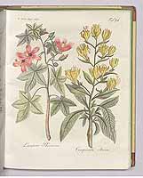  no thumbnail available