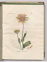  no thumbnail available