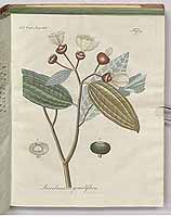  no thumbnail available