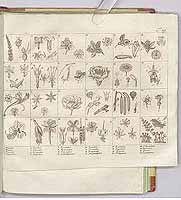  no thumbnail available