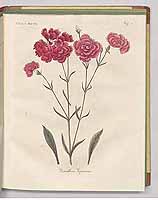  no thumbnail available