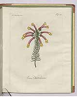  no thumbnail available