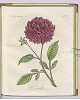  no thumbnail available