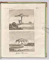  no thumbnail available