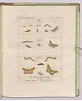  no thumbnail available