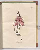  no thumbnail available