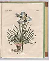  no thumbnail available